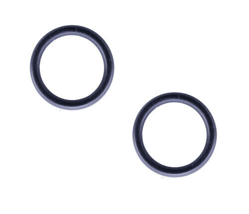 2 PEZZI GUARNIZIONE O - RING PRESSA CIALDA 44,45X3,53 PER MACCHINA CAFFE' AROMA