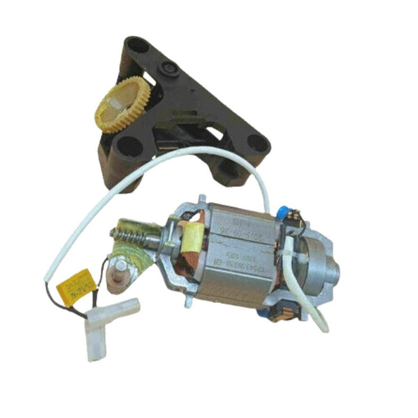 RICAMBIO ORIGINALE MOTORE + SUPPORTO + INGRANAGGIO PER AFFETTATRICE RGV MARY 220